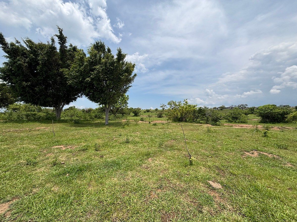 Lote em Lomas del Potrero, Yautepec, foto 5 de 19