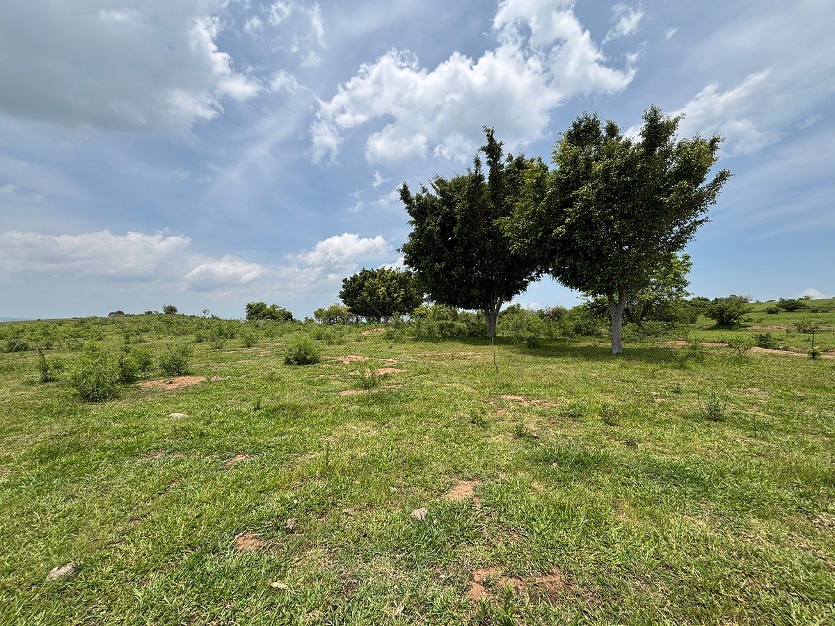 Lote em Lomas del Potrero, Yautepec, foto 9 de 19