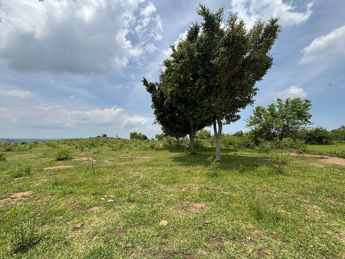 Lote em Lomas del Potrero, Yautepec, foto 10 de 19