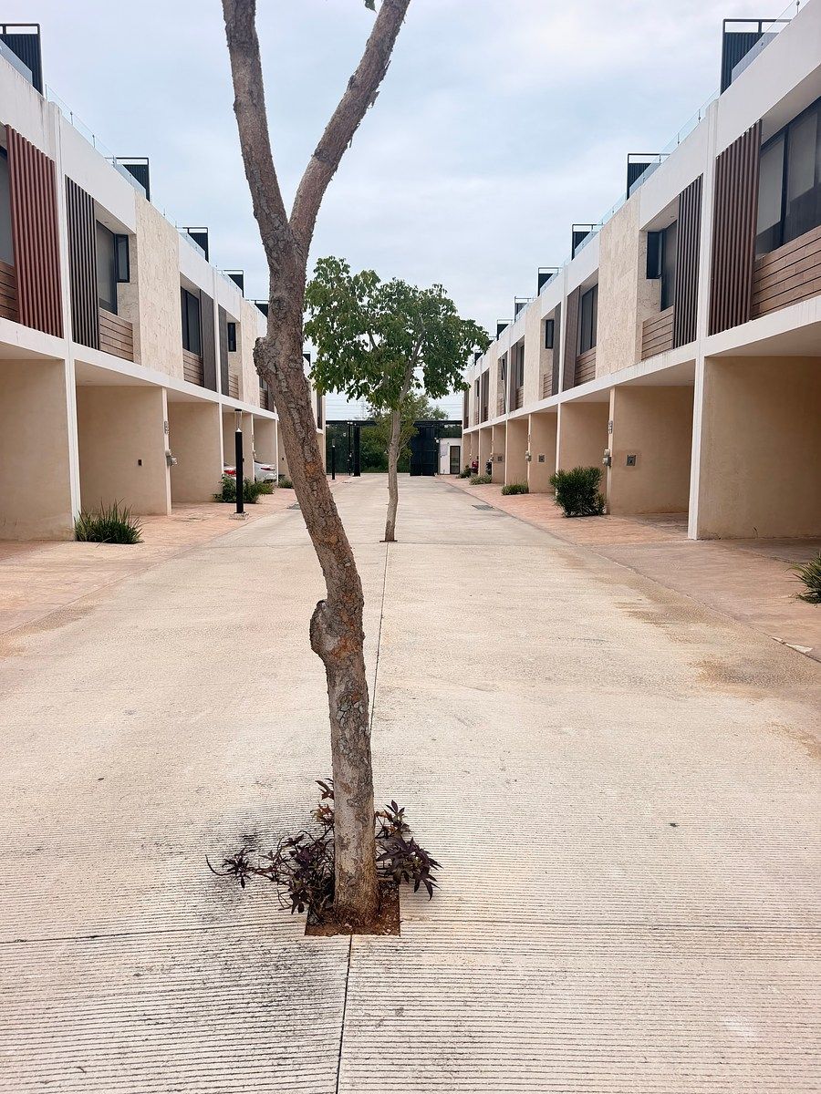 Casa en Cholul, Mérida, foto 3 de 25
