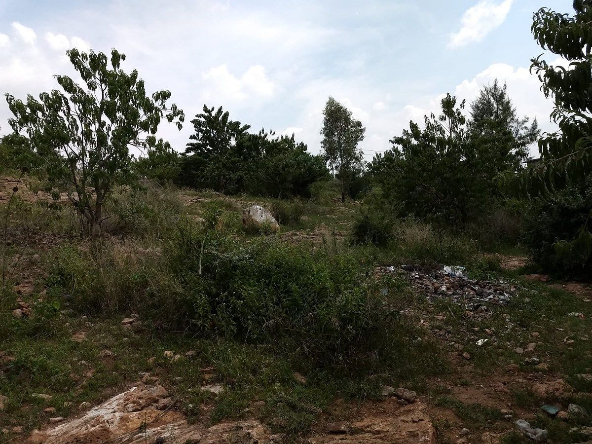 Terreno en San José Navajas, El Marqués, foto 4 de 8