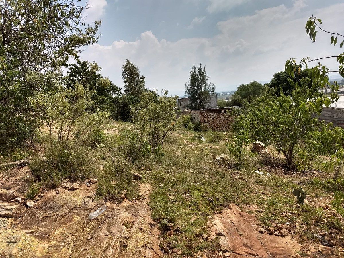Terreno en San José Navajas, El Marqués, foto 7 de 8