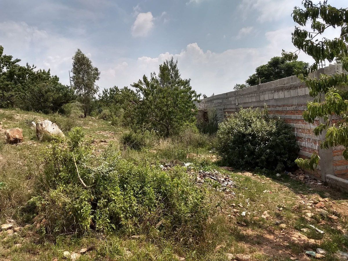 Terreno en San José Navajas, El Marqués, foto 6 de 8