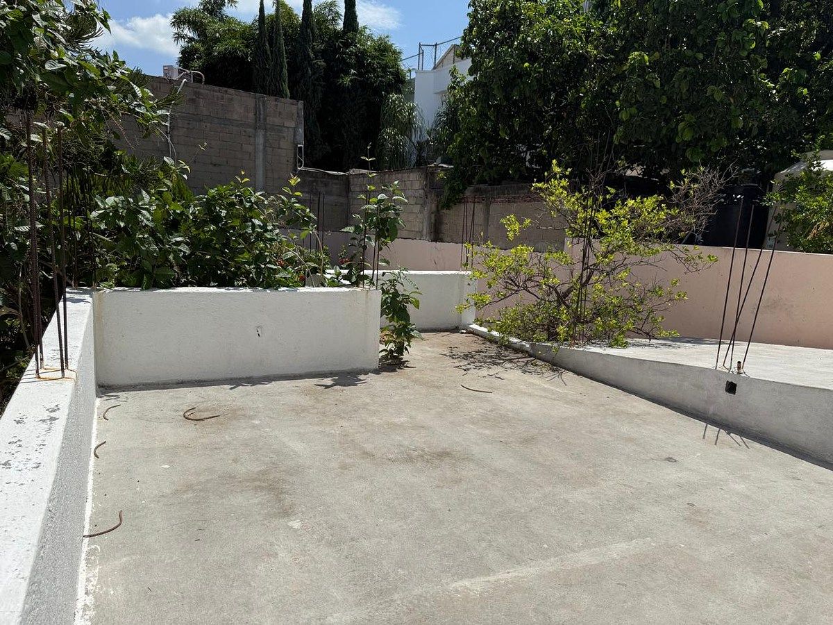 Terraza, photo 16 of 17
