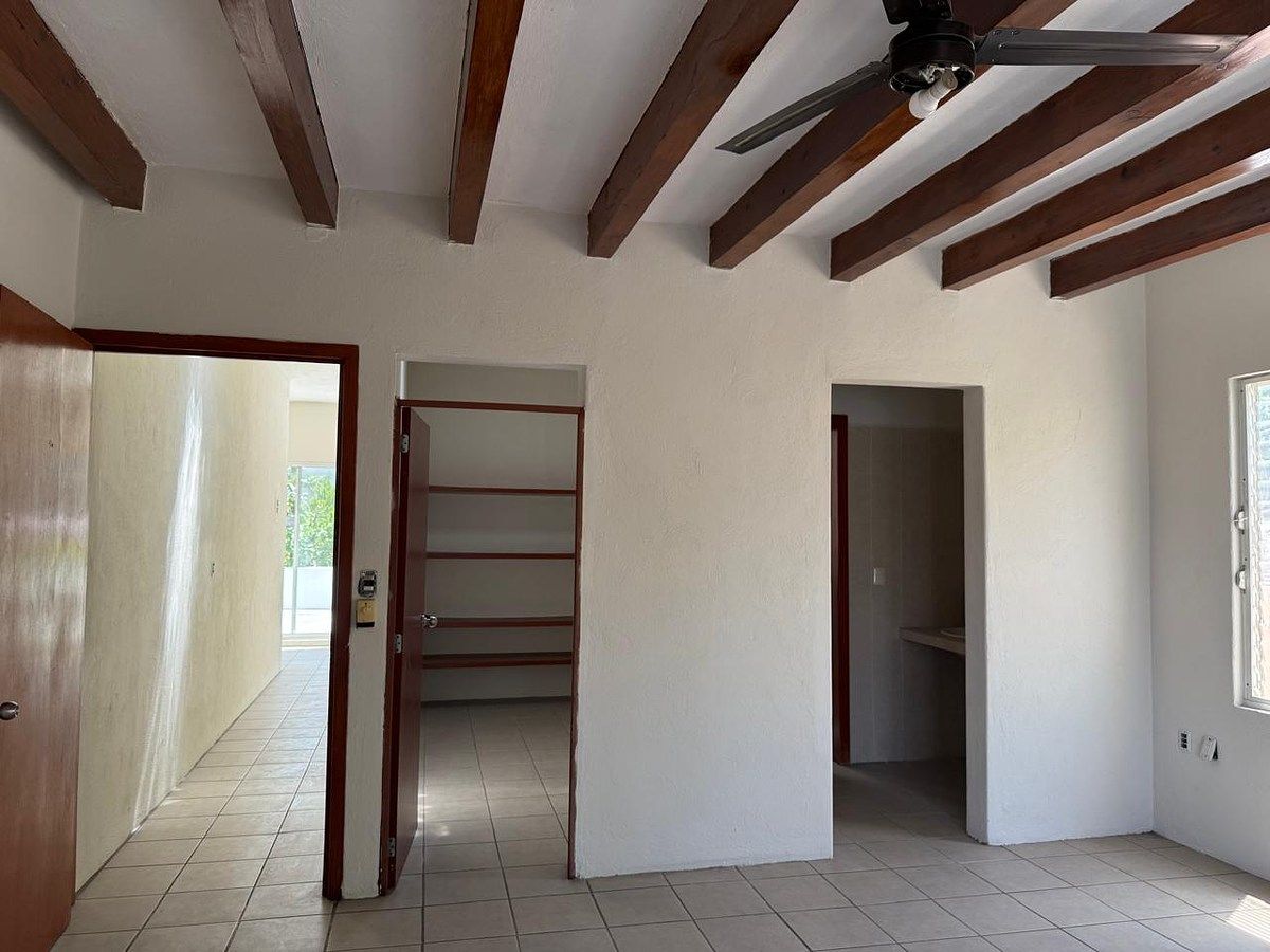 Planta alta, photo 9 of 17