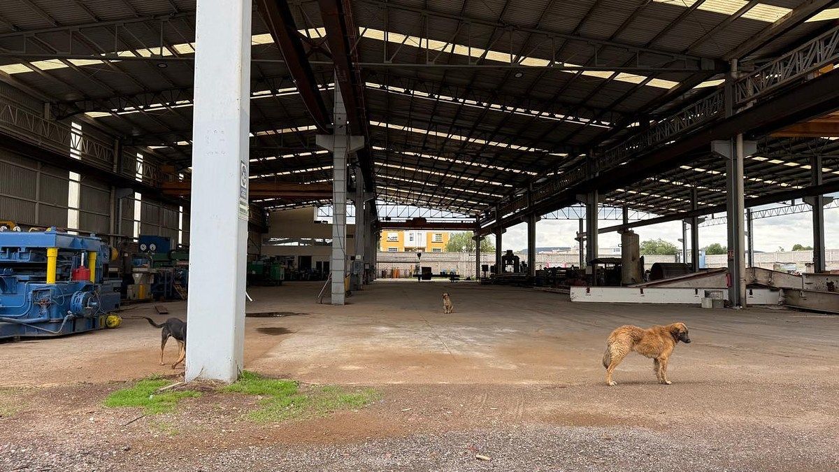 Bodega comercial en Salitrillo, Huehuetoca, foto 2 de 13