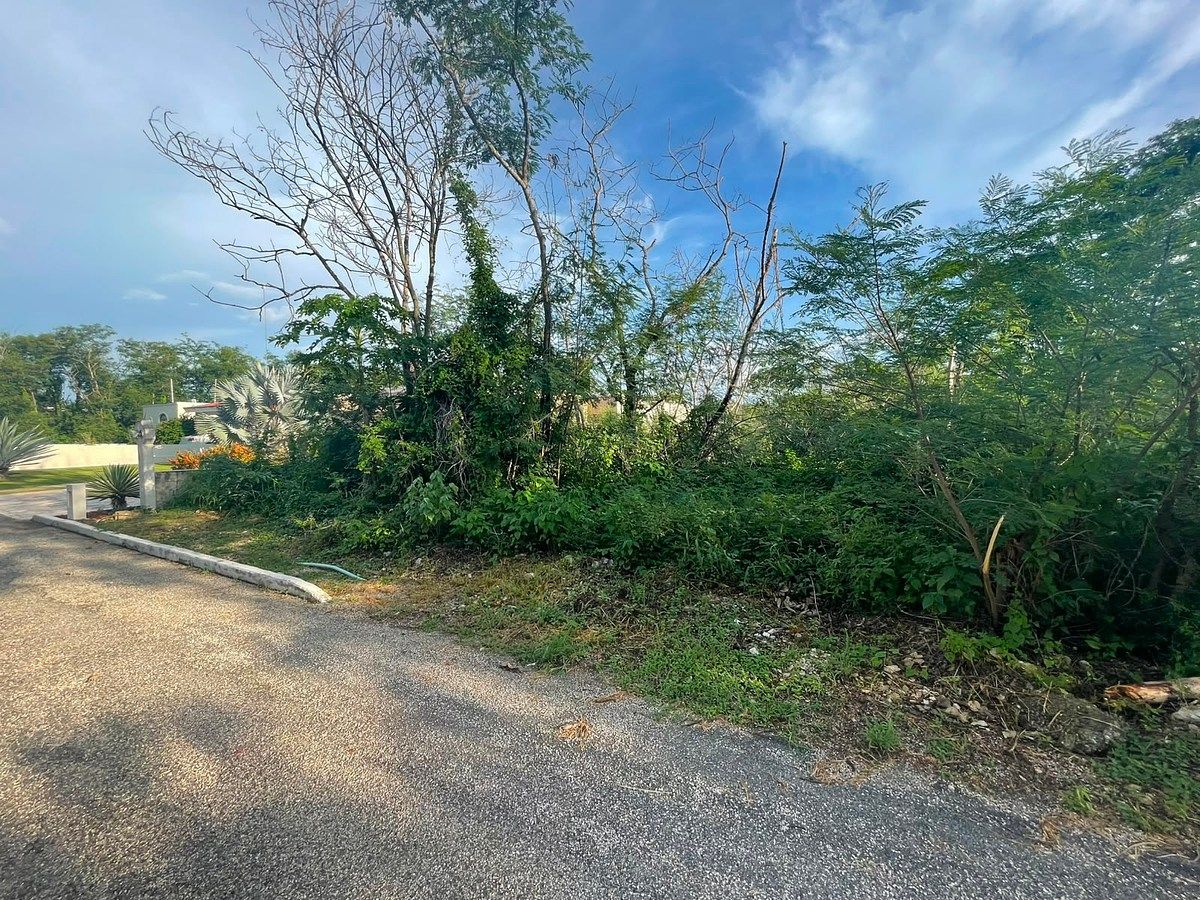 Lot in Conkal, Conkal, photo 10 of 18