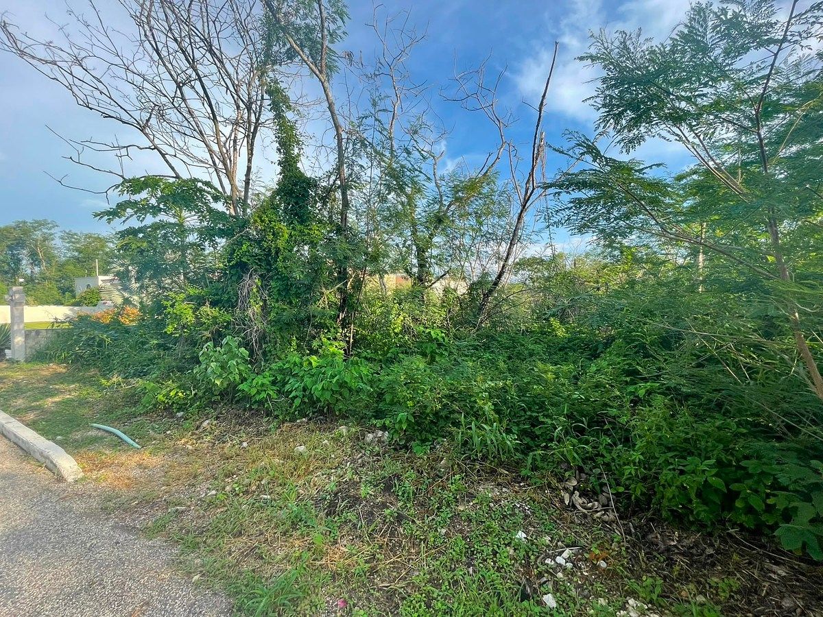 Lot in Conkal, Conkal, photo 15 of 18