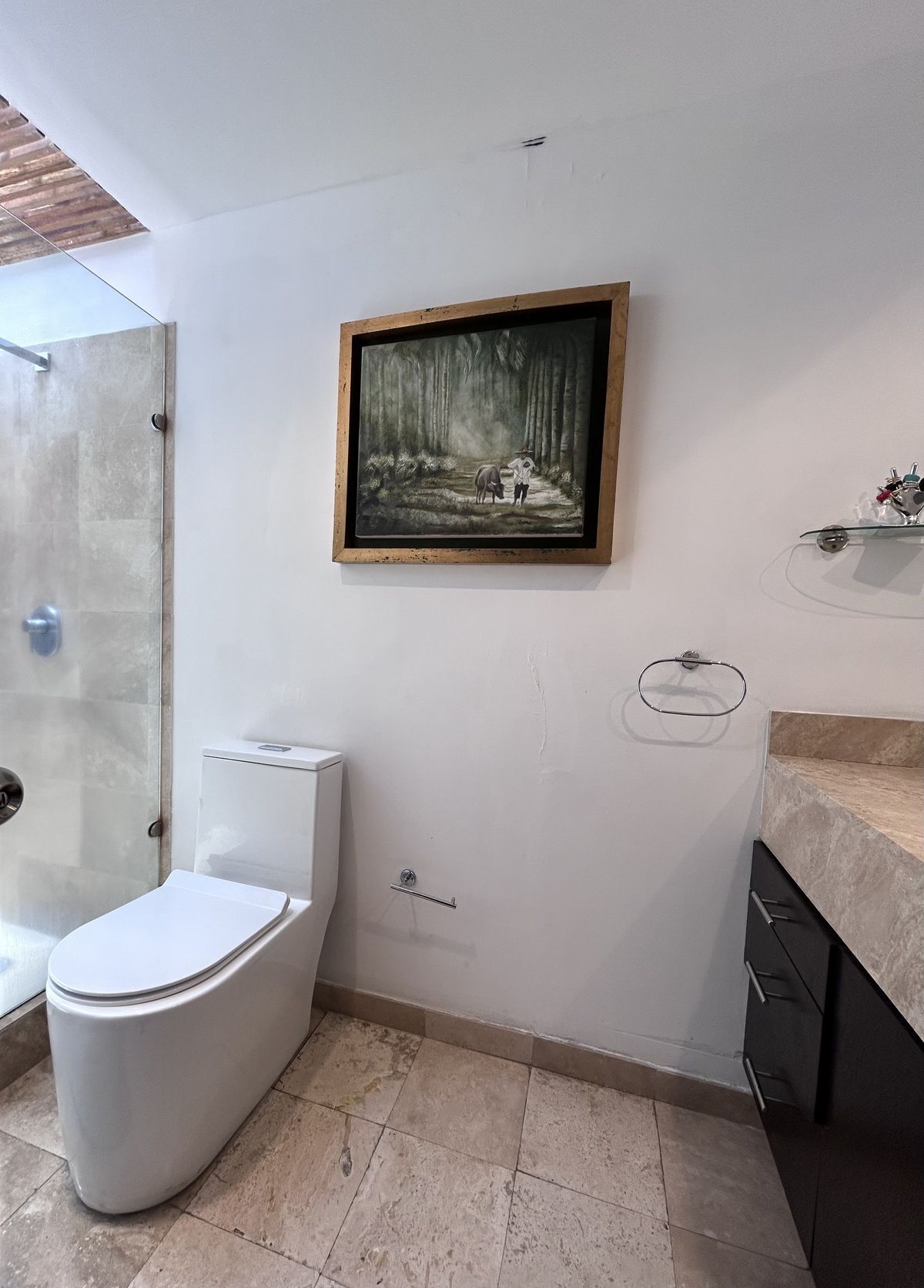 House in Gated Community in Cuajimalpa, Cuajimalpa de Morelos, photo 20 of 29