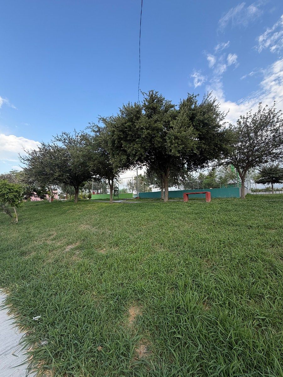 Parque de la colonia, foto 21 de 23