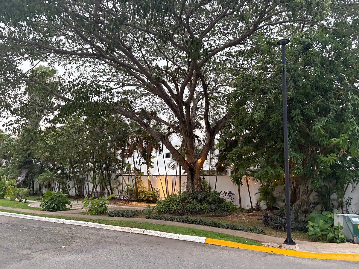 Casa em condomínio fechado em Santa Gertrudis Copo, Mérida, foto 15 de 15