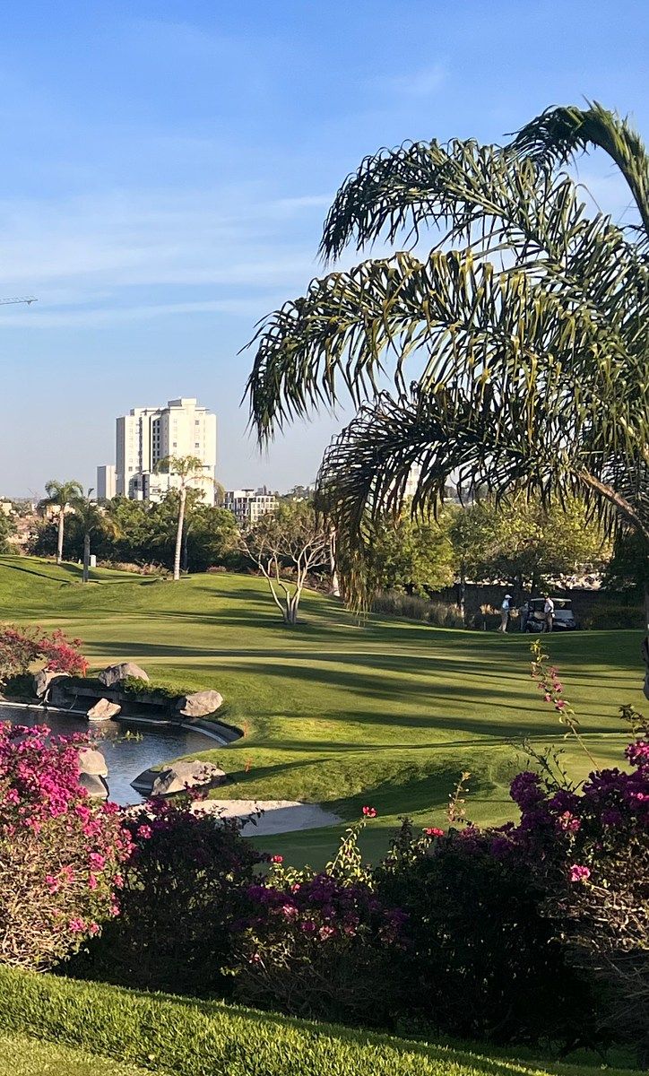 Terreno en Las Lomas Club Golf, Zapopan, foto 15 de 16