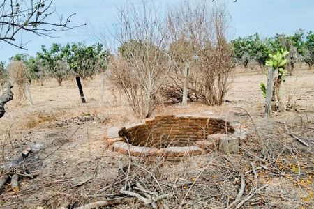 Terreno en renta sobre Carretera Federal 15 en Acaponeta, Nayarit.