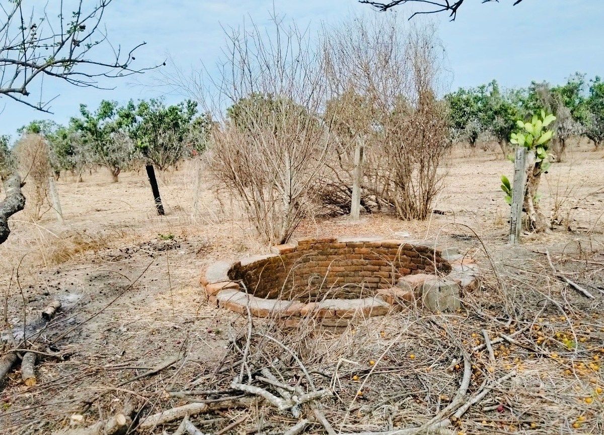 Terreno en San José de Gracia, Acaponeta, foto 4 de 7
