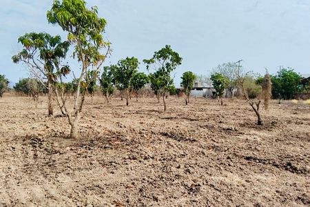 Terreno en renta sobre Carretera Federal 15 en Acaponeta, Nayarit.