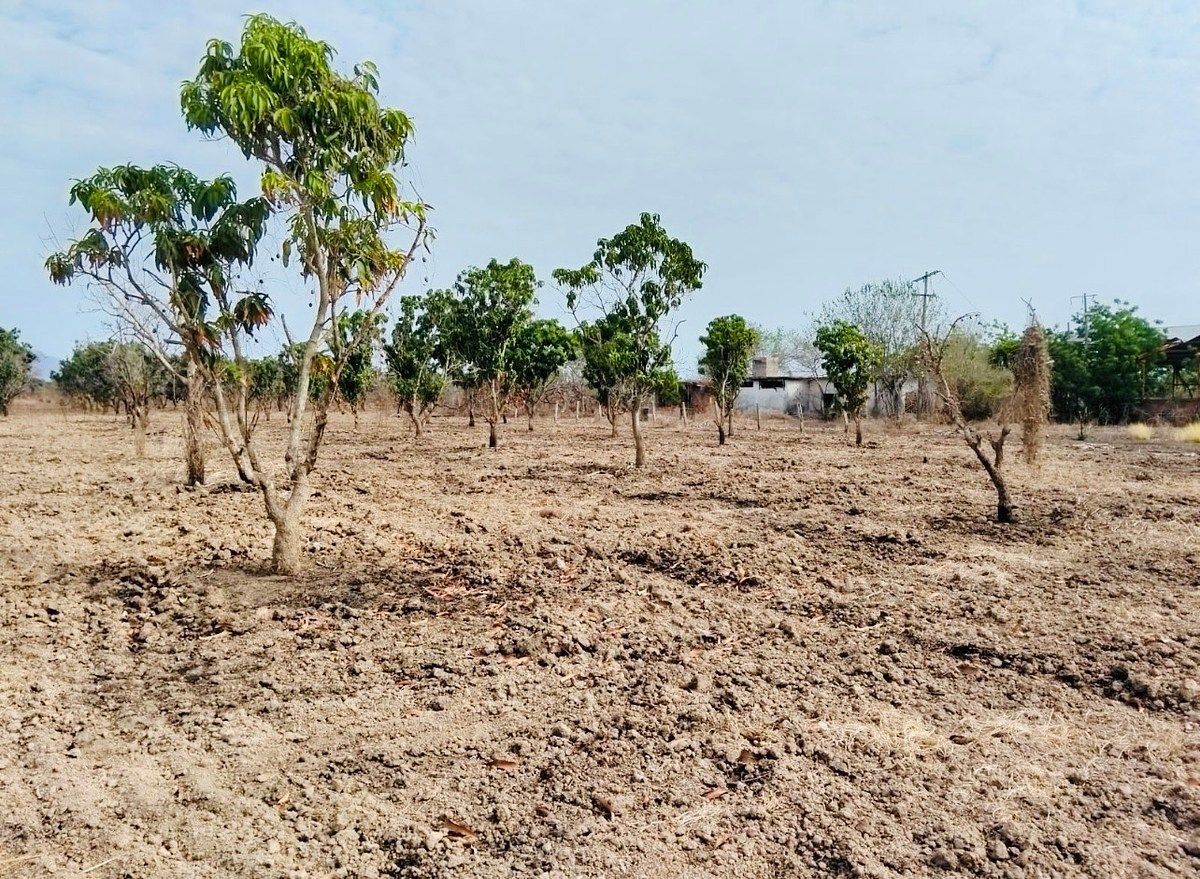 Terreno en San José de Gracia, Acaponeta, foto 6 de 7