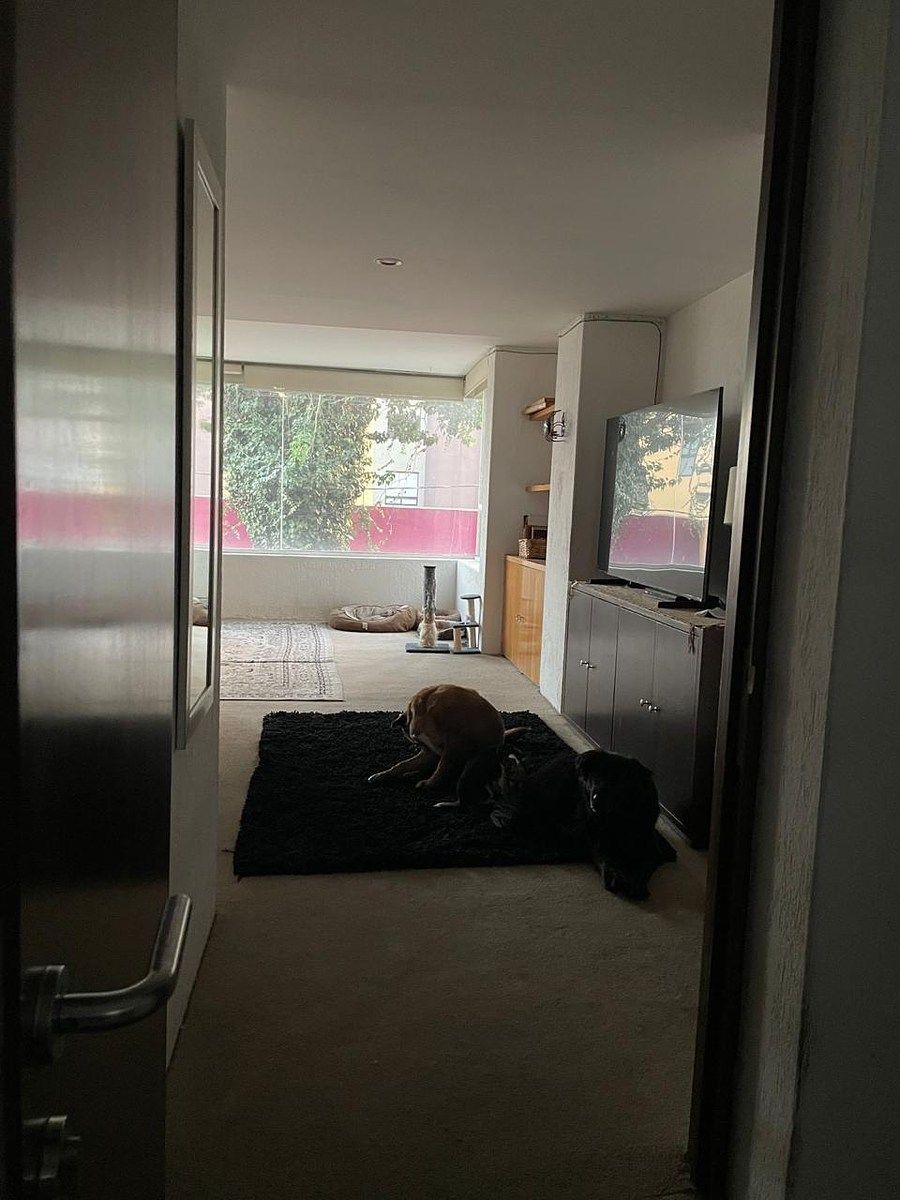 Casa en Las Águilas, Álvaro Obregón, foto 16 de 31