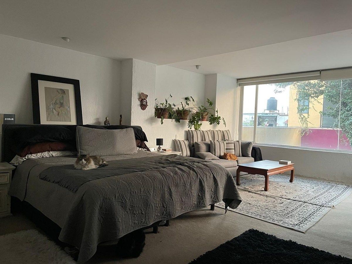 Casa en Las Águilas, Álvaro Obregón, foto 20 de 31