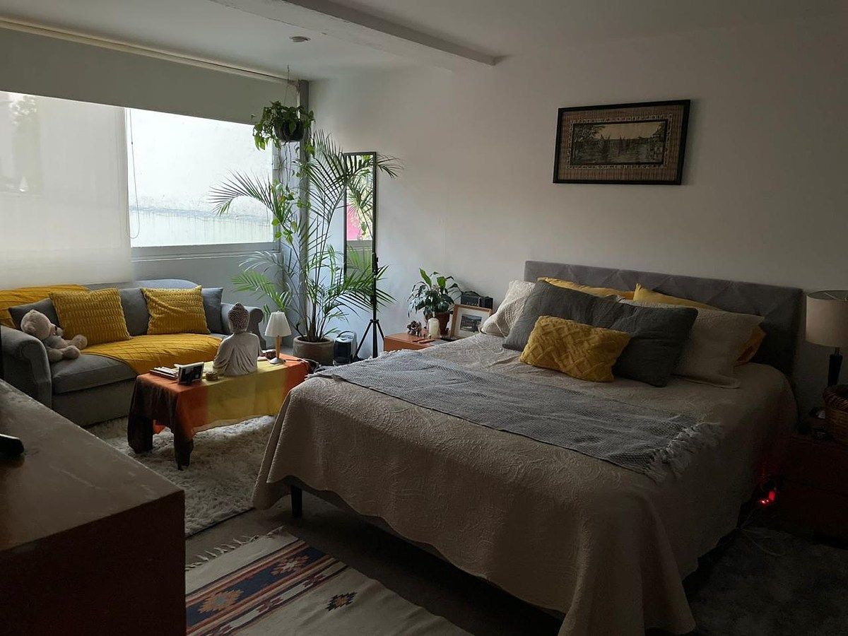 Casa en Las Águilas, Álvaro Obregón, foto 23 de 31