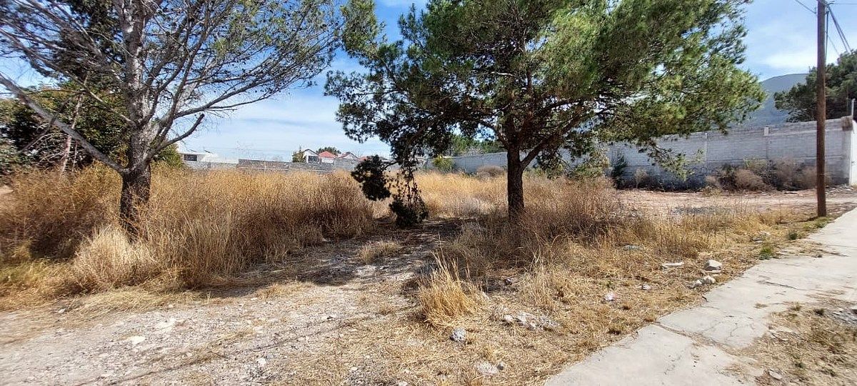 Terreno en Lomas de Lourdes, Saltillo, foto 4 de 7