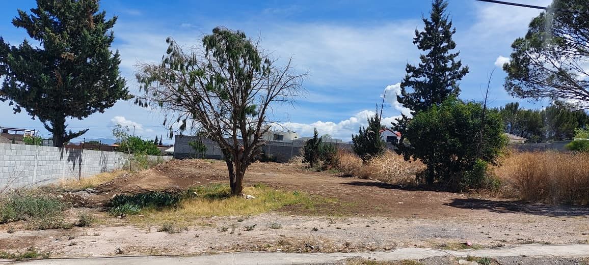 Terreno en Lomas de Lourdes, Saltillo, foto 7 de 7