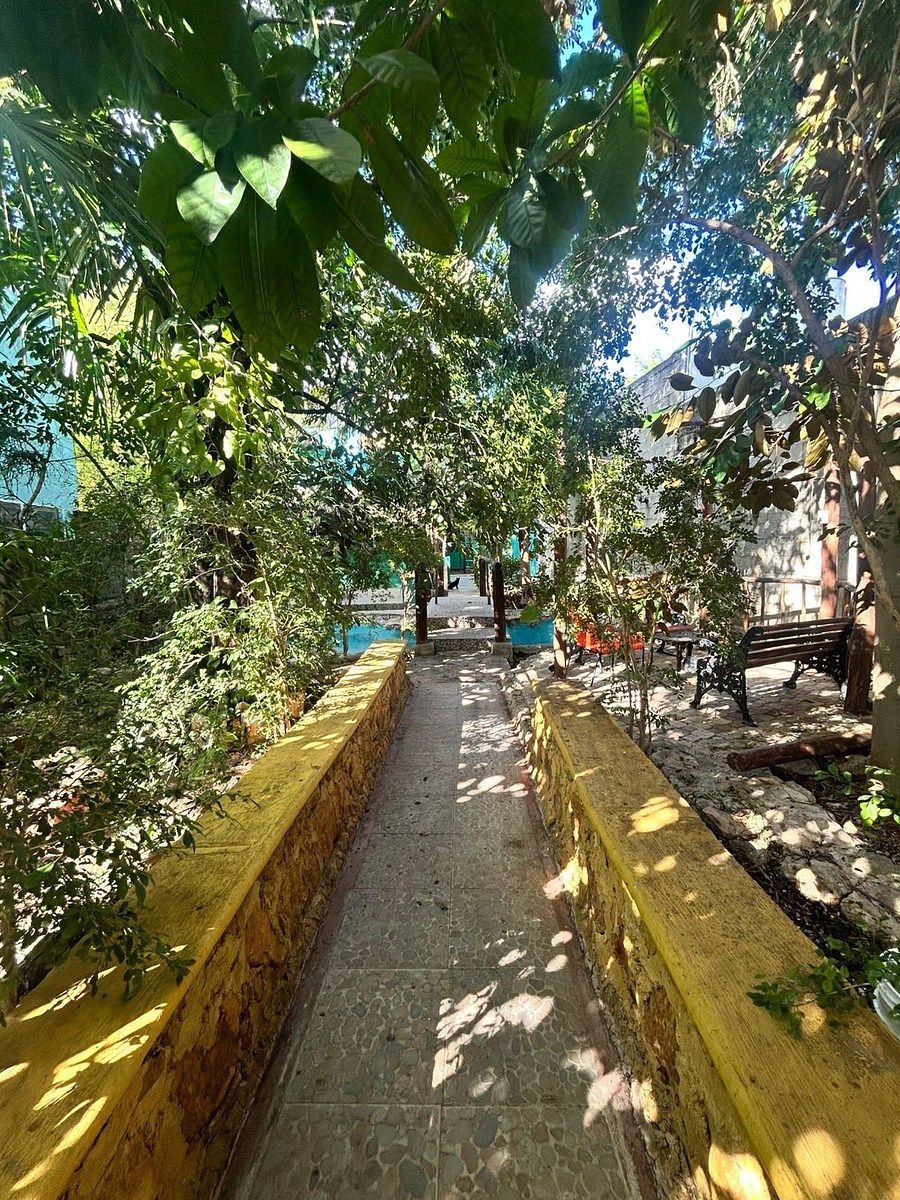 House in Mérida Centro, Mérida, photo 17 of 34