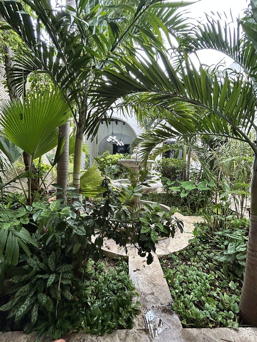 House in Mérida Centro, Mérida, photo 12 of 35