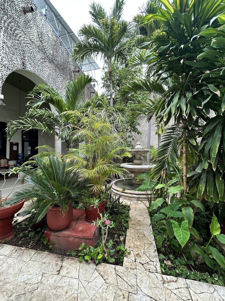 House in Mérida Centro, Mérida, photo 20 of 35