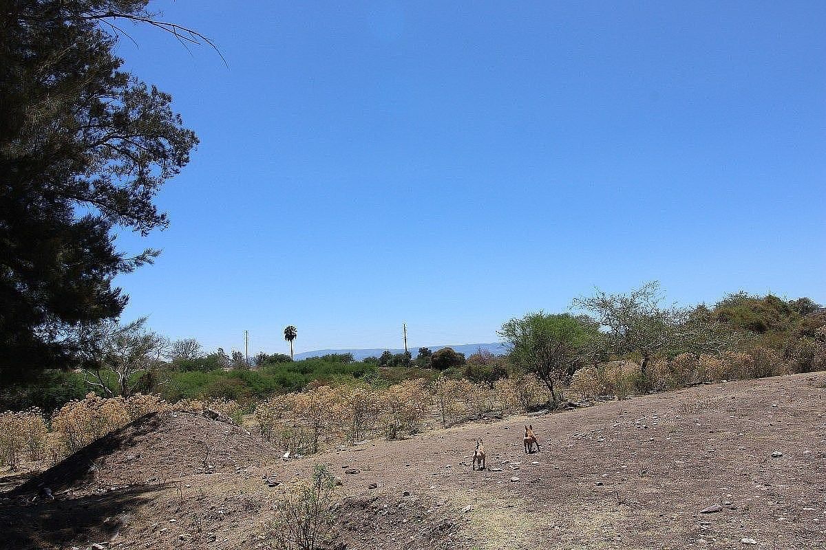 Terreno con alto potencial de desarrollo - Chapala Haciendas, foto 1 de 8
