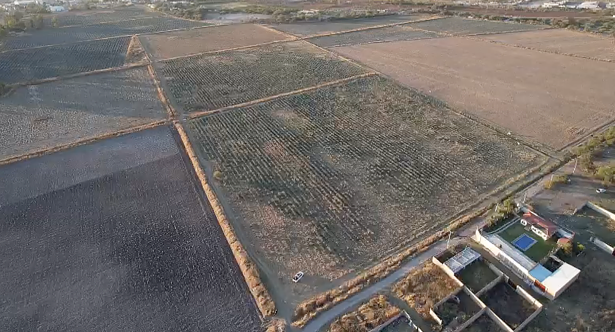 Terreno en El Zapote, Tlajomulco, foto 1 de 12