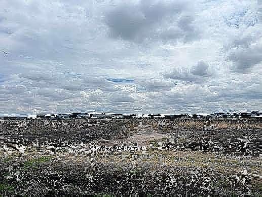 Lote em El Zapote Del Valle, Tlajomulco de Zúñiga, foto 10 de 12