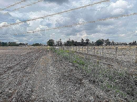 Lote em El Zapote Del Valle, Tlajomulco de Zúñiga, foto 12 de 12