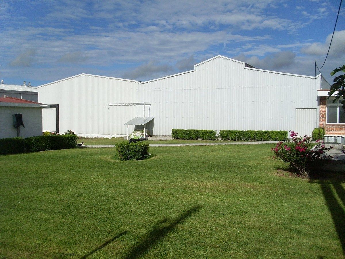 Industrial Building in Irapuato, Irapuato, photo 3 of 12