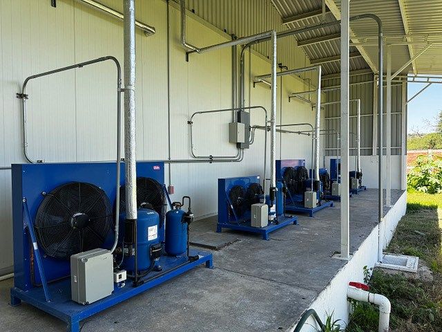 Prédio industrial em Irapuato, Irapuato, foto 11 de 13