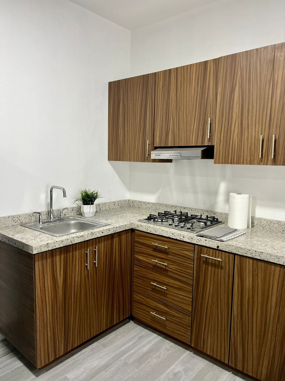 Departamento en Del Valle, Ramos Arizpe, foto 6 de 9