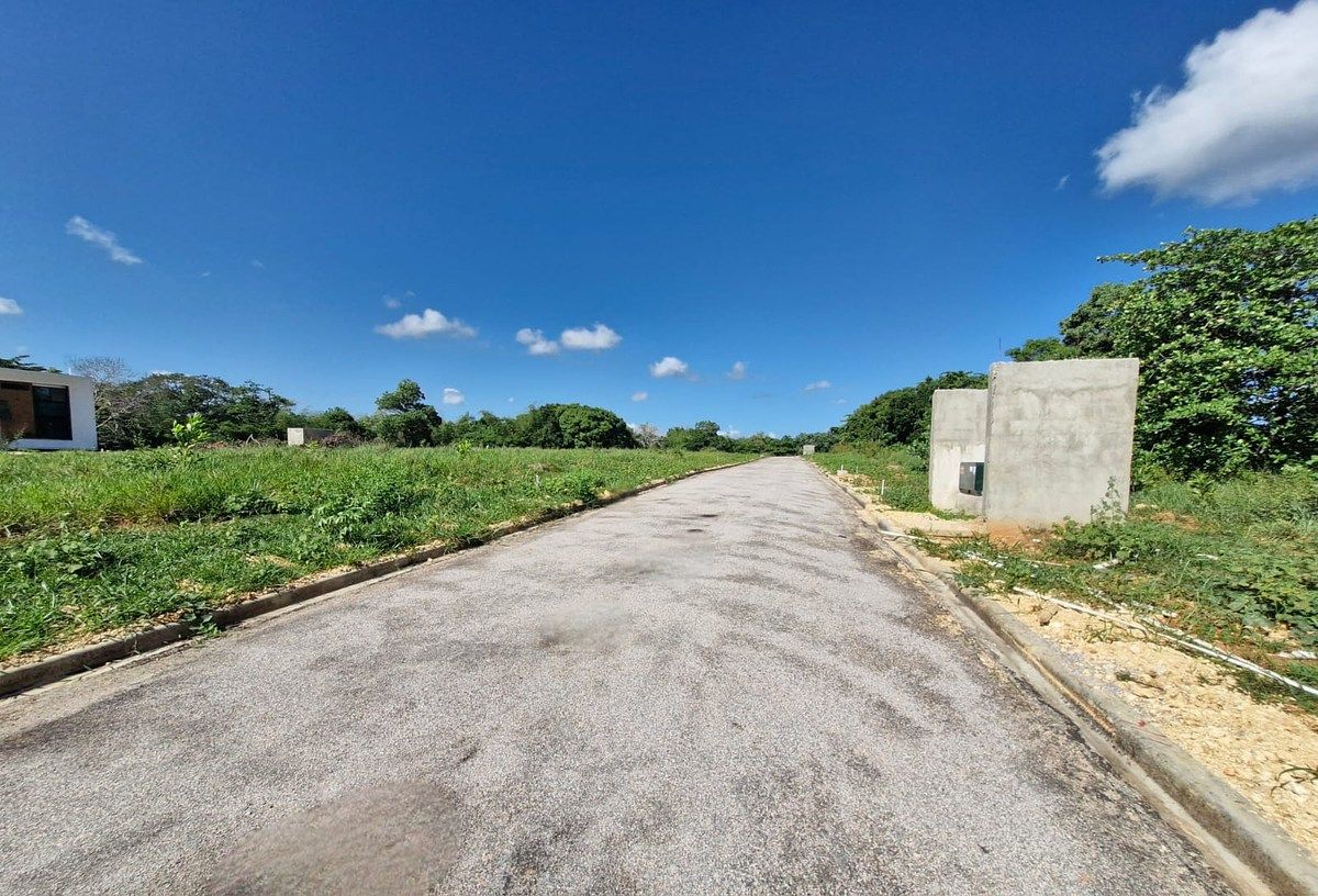 Terreno en Nagua, foto 7 de 8