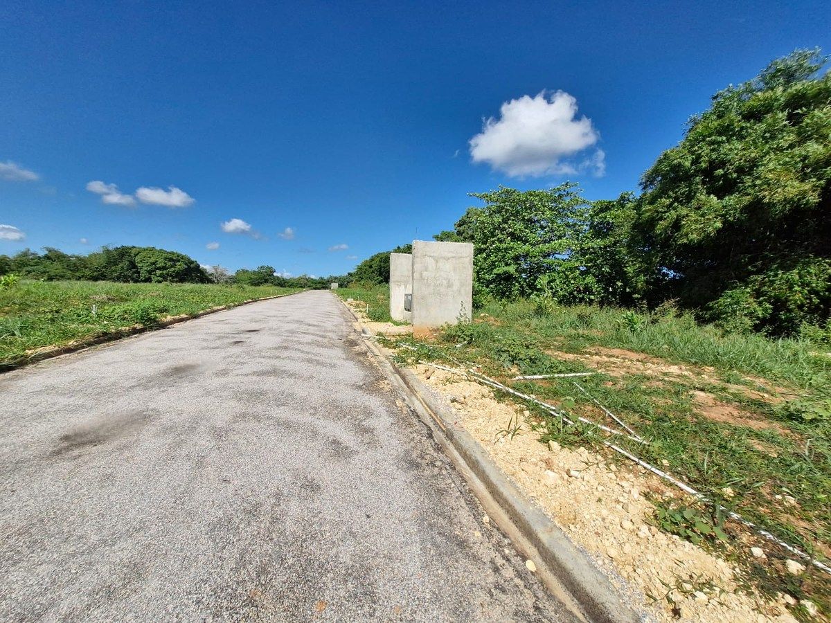 Terreno en Nagua, foto 8 de 8