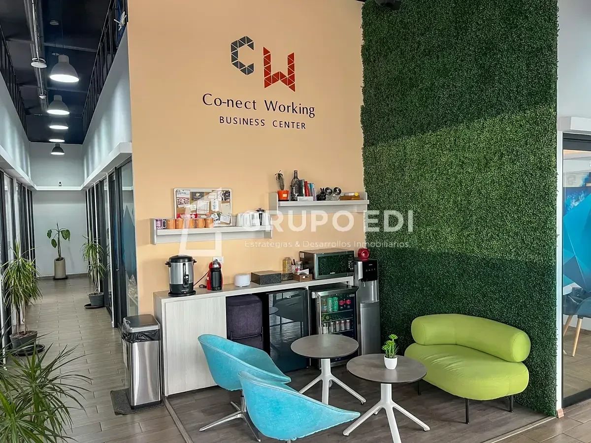 Sala Comercial em Santa Cruz Buenavista, Puebla, foto 6 de 9