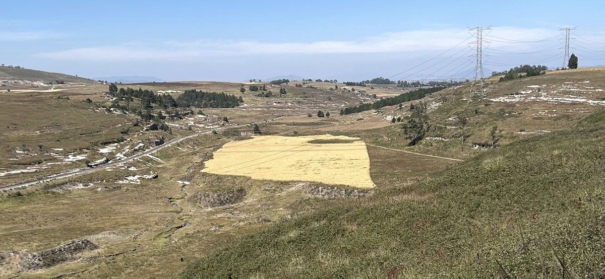 Oportunidad Única de Inversión: Macrolote de 247 Hectáreas con Gran Potencial In, foto 1 de 6