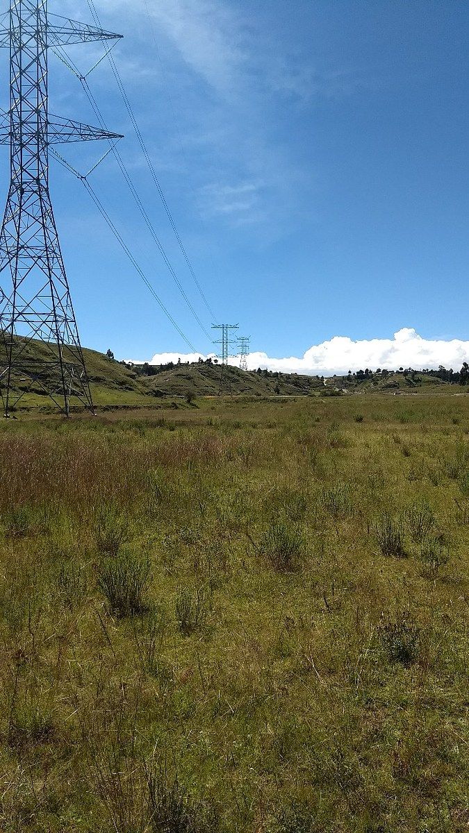 Lote em San Lorenzo Toxico, Ixtlahuaca, foto 5 de 6