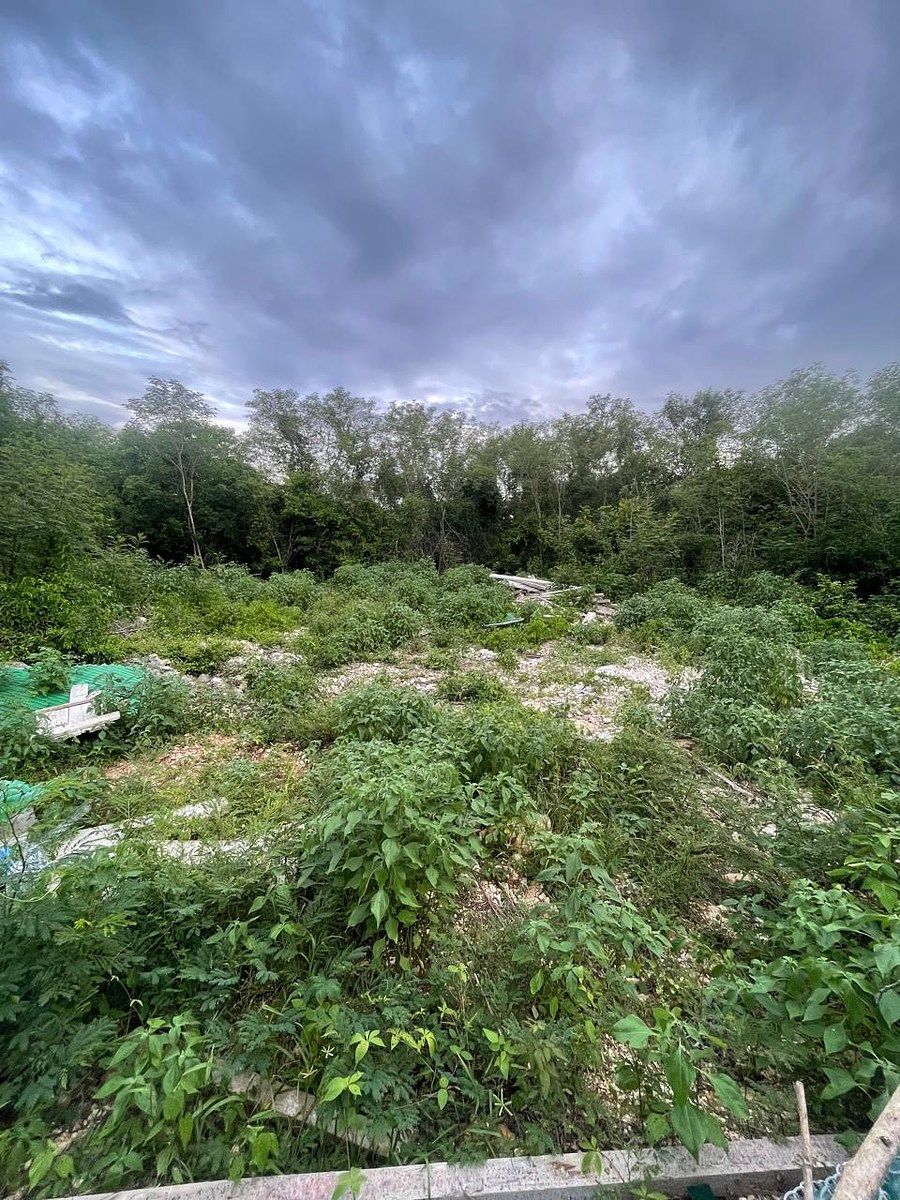 Terreno en Cabo Norte, Mérida, foto 2 de 3