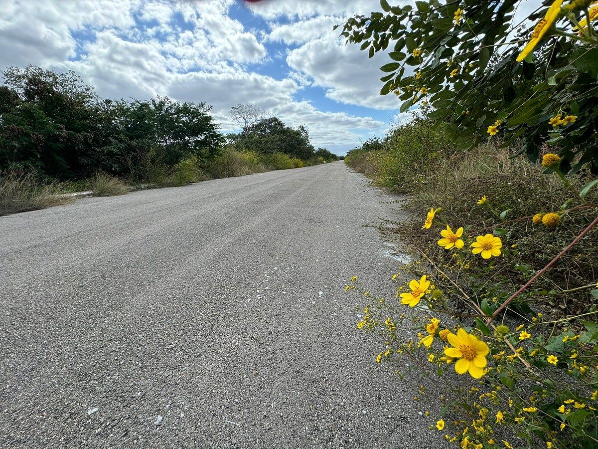 Lote em Komchen, Mérida, foto 3 de 15