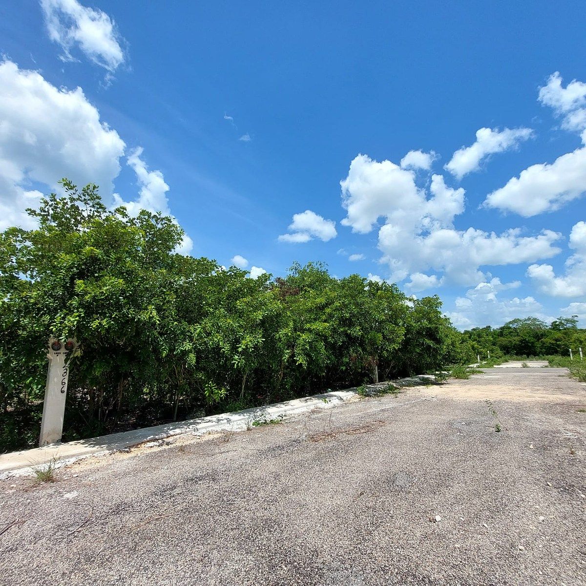 Lote em Komchen, Mérida, foto 4 de 15