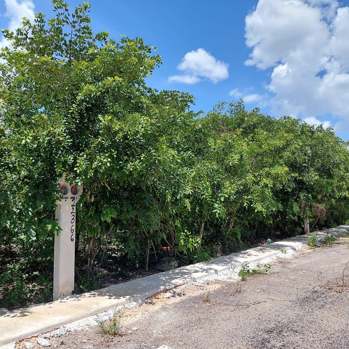 Lote em Komchen, Mérida, foto 6 de 15