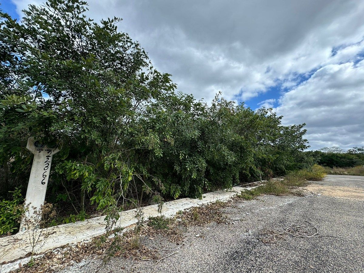 Lote em Komchen, Mérida, foto 12 de 15