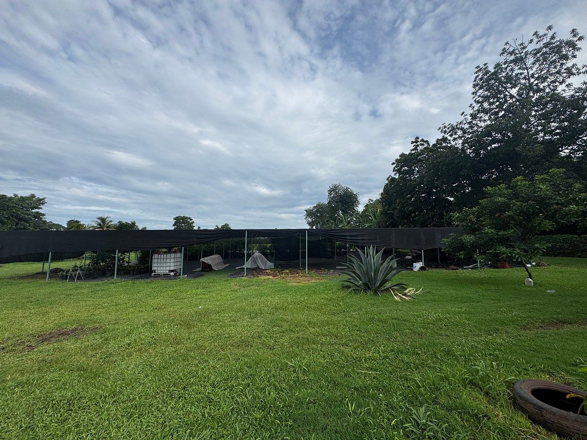 Lote em Talismán, Tuxtla Chico, foto 2 de 28