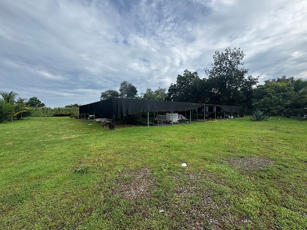 Lote em Talismán, Tuxtla Chico, foto 4 de 28