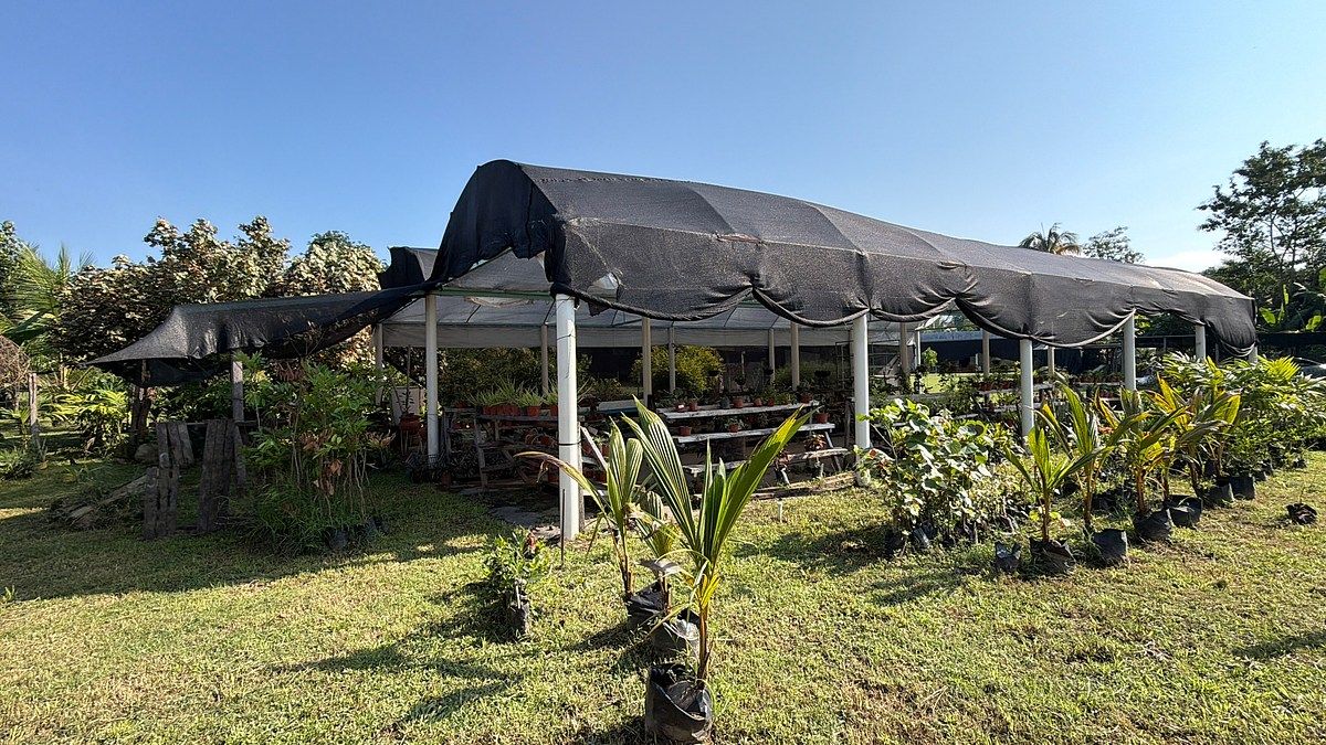 Lote em Talismán, Tuxtla Chico, foto 8 de 28
