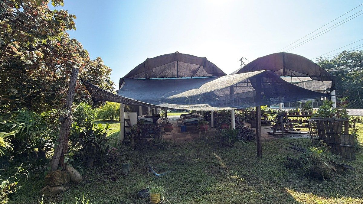 Lote em Talismán, Tuxtla Chico, foto 9 de 28