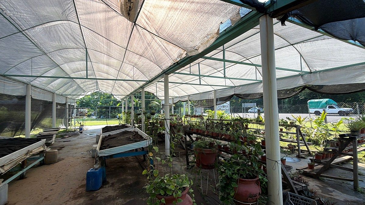 Lote em Talismán, Tuxtla Chico, foto 10 de 28